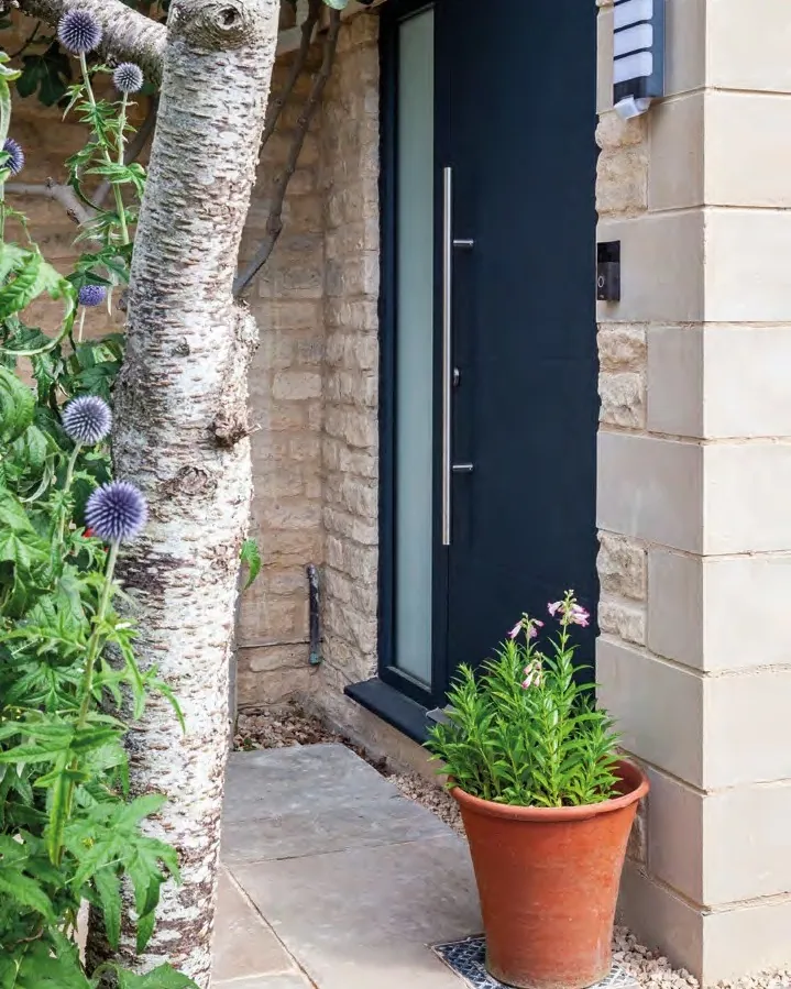 A slim grey aluminium front door with a long pull handle, set in stone beside a silver birch.